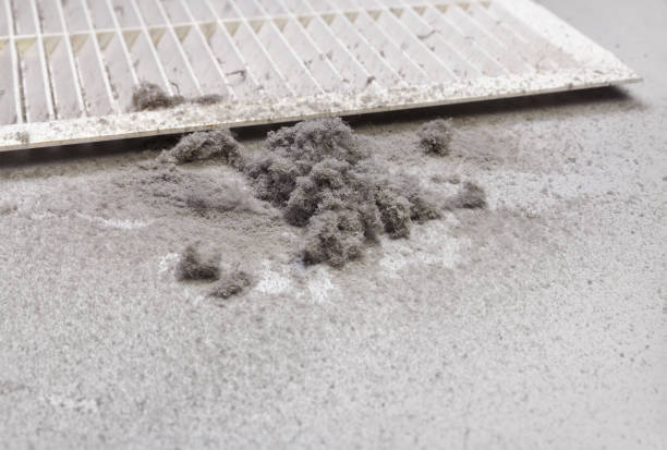 Best Ductwork Cleaning Services  in Pinellas Park, FL